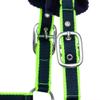 Start Adjustable Padded Horse Halter, Durable Nylon, Dark Blue/Green, Full (Warmblood) view 2