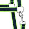 Start Adjustable Padded Horse Halter, Durable Nylon, Dark Blue/Green, Full (Warmblood) view 3