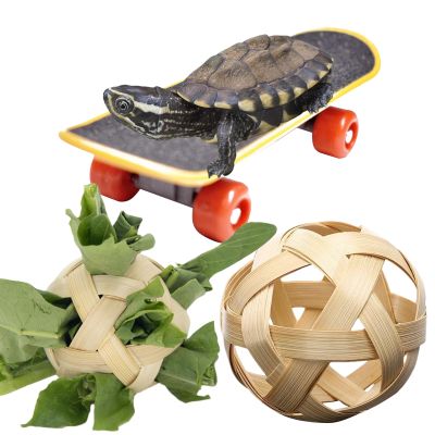 Generic Turtle Treat Ball, Turtle Hay Feeding Ball