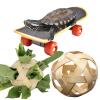 Generic Turtle Treat Ball, Turtle Hay Feeding Ball view 1