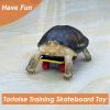 Generic Turtle Treat Ball, Turtle Hay Feeding Ball view 3