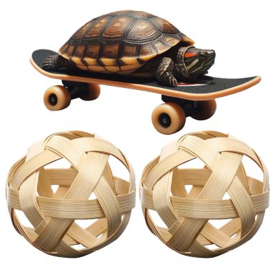 Generic Turtle Hay Feeding Ball