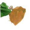 KOMBIUDA Artificial Reptile Plant view 4