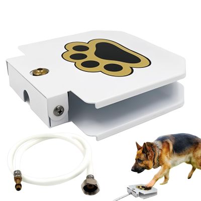 Outdoor Dog Play Fountain and Water Toy