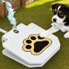 Outdoor Dog Play Fountain and Water Toy view 2