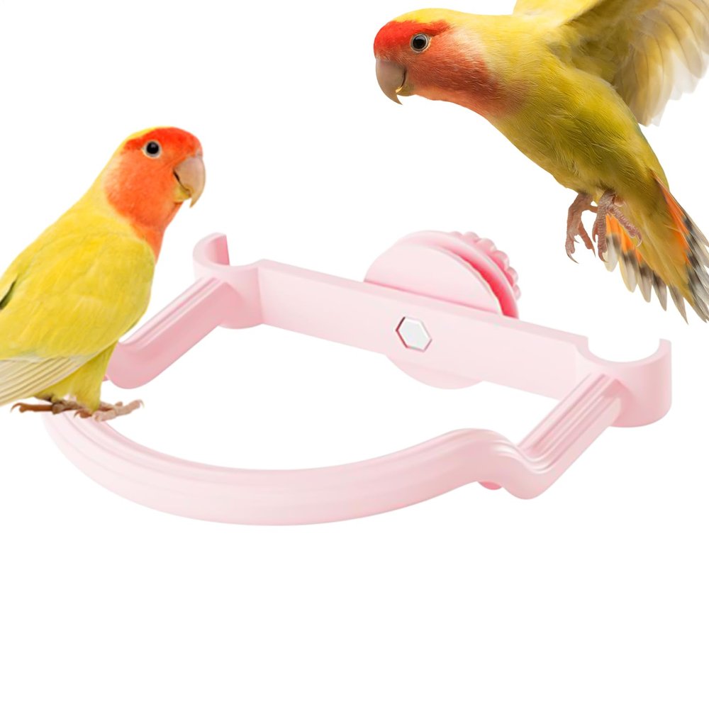 Bird Perches & Climbing Toys