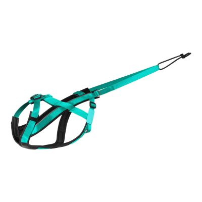 Reflective Sled Dog Harness for Large Dogs