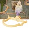 Parrot Perch for Small Birds view 3