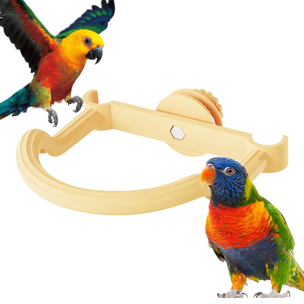 Bird Perch for Parrots and Budgies