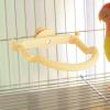 Parrot Perch - Non-Slip Bird Stand view 3