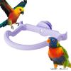 Bird Perch for Parakeets and Small Birds view 1