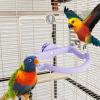Bird Perch for Parakeets and Small Birds view 2