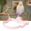 Bird Perch for Cages - Non-Slip Design for Parakeets and Finches view 3