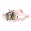 Bird Perches for Parrots and Budgies view 1