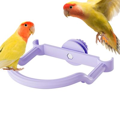 Bird Perch for Large Birds