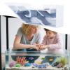 Aquarium Observation Tunnel with 2 Entrances view 3