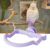 Bird Perch Stand | Climbing Toy for Birds view 3