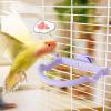 Bird Perch - Stand for Parakeets view 2