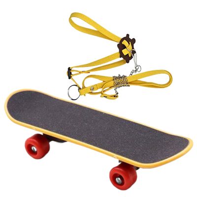Adjustable Turtle Leash and Skateboard Reptile Accessory