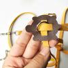 Adjustable Turtle Leash and Skateboard Reptile Accessory view 3