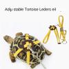 Adjustable Turtle Leash and Skateboard Reptile Accessory view 4