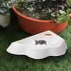 Turtle Water Dish with Non-Slip Ramp view 3
