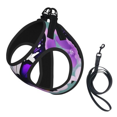 M Purple Butterfly-Print Pet Vest Harness with Leash
