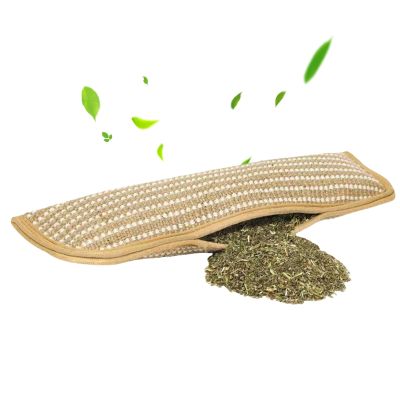 Salyeeluly Catnip Toy for Cats, Cat Bed Pillow