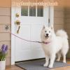 Stainless Steel Wall Hook for Dog Leashes view 2