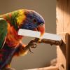 Chew Toy | Grass Core Chew for Birds view 3