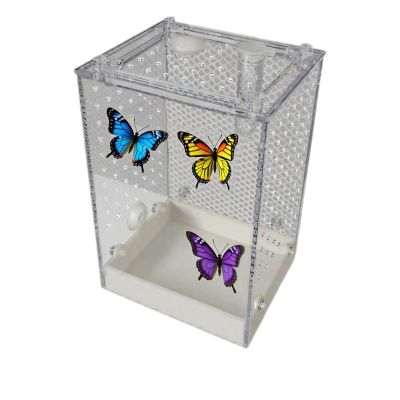 Clear Acrylic Jumping Spider and Praying Mantis Breeding Box