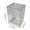 Clear Acrylic Jumping Spider and Praying Mantis Breeding Box view 2