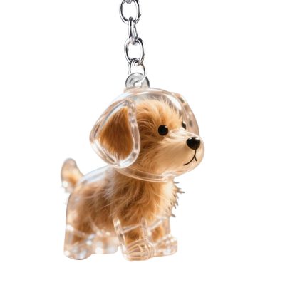 Pet Hair Collector Keychain