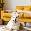 Portable Pet Hair Lint Roller for Cats and Dogs view 2