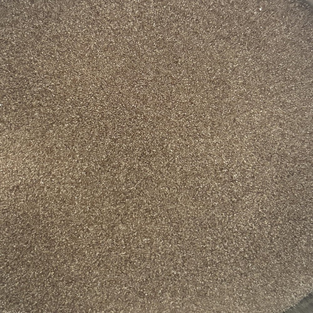 Sanders Brine Shrimp Eggs, Great Salt Lake, Premium, 95% Hatch Rate (100 g)