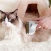 Cat Grooming and Deshedding Brush view 2