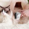 Cat and Dog Deshedding Comb view 2