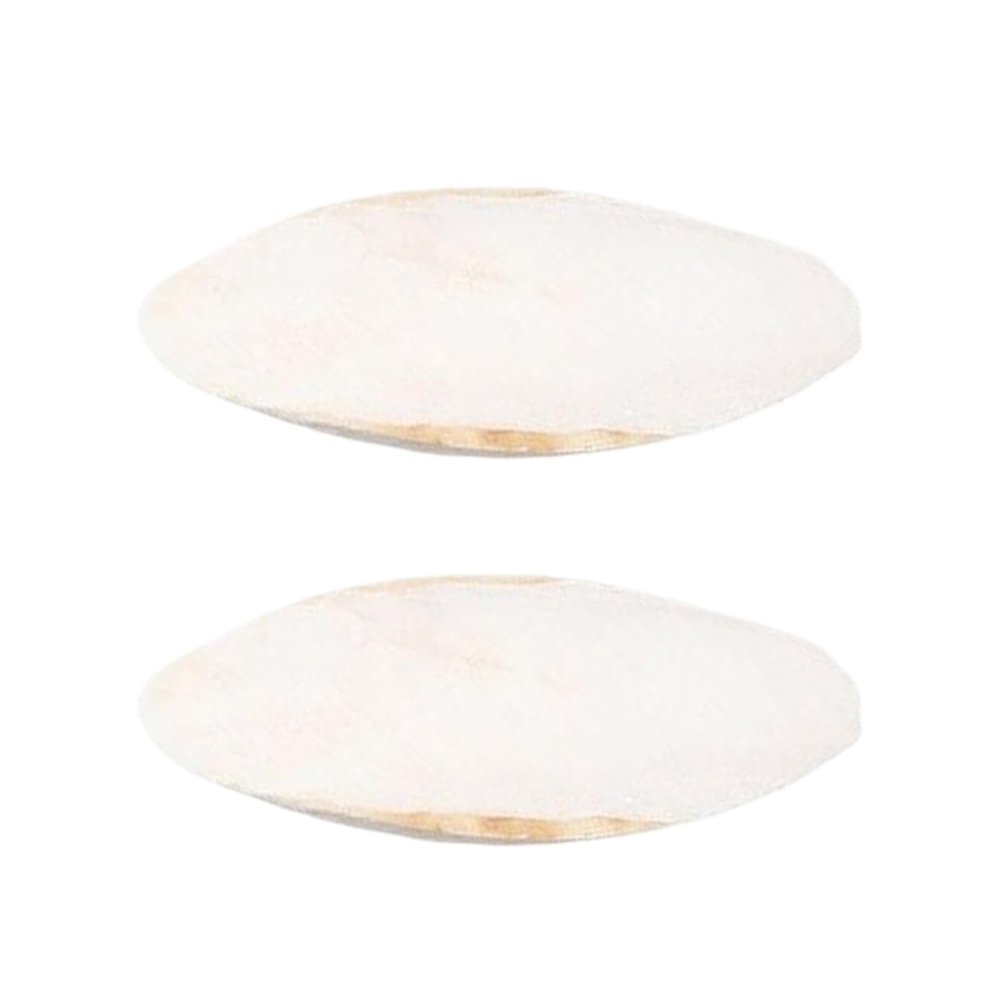 Shame Bone | 2 Natural Pieces 15-20 cm for Beaks