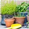 FUNOMOCYA 12-Piece Flower Pot Drainage Hole Mesh Pads view 4
