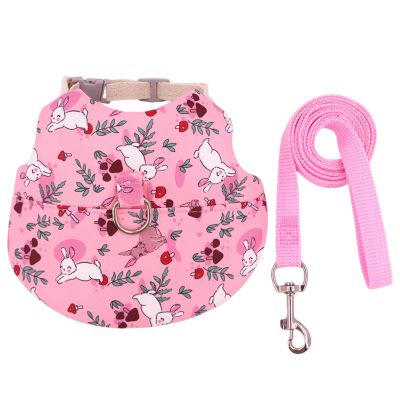 Rabbit Harness with Leash for Small Pets