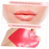 2 Boxes of Moisturizing Lip Masks for Women, Christmas Party view 2