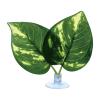Aquarium Plants with Suction Cup view 1