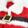 TOPSOSO Dog Christmas Costume Set view 4