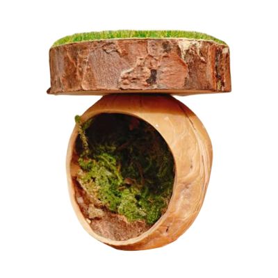 Magnetic Spider Habitat
