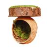 Magnetic Spider Habitat view 1