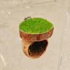 Magnetic Spider Habitat view 3