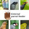 Wild Bird Feeder, Transparent Food Container and Automatic view 4