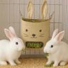 Hanging Hay Feeder for Rabbits and Small Animals view 2