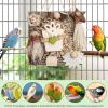 Bird Foraging Toys – Wood and Cardboard Chew Toys view 2