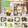 Bird Foraging Toys – Wood and Cardboard Chew Toys view 3